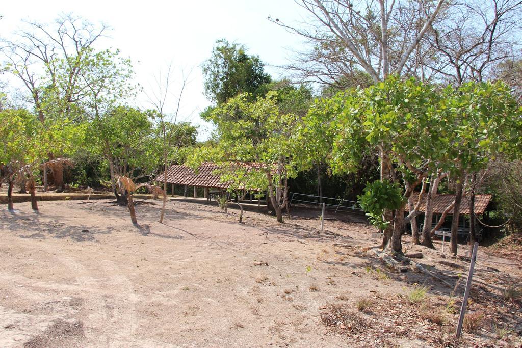 Hotel Fazenda Arara Azul แคโรไลนา ภายนอก รูปภาพ